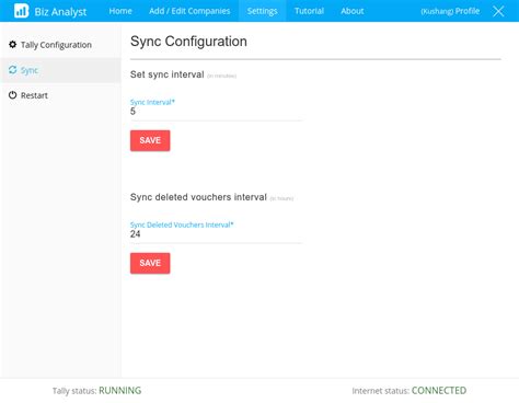 Sync Configuration :: Biz Analyst Docs