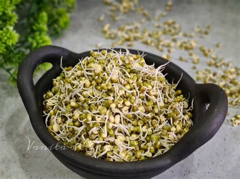 How to sprout green gram | Moong Sprouts - Vanita's Corner