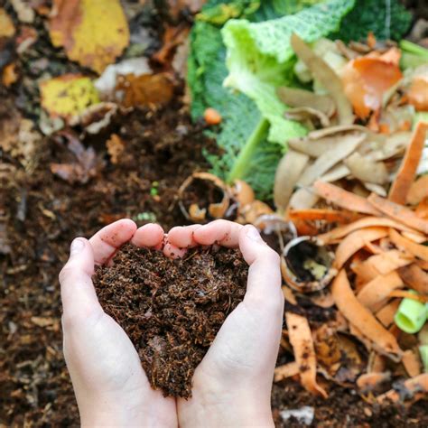 Image result for Simple Composting