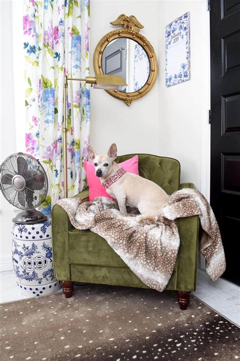 Karastan Antelope Rug Review - MONICA BENAVIDEZ