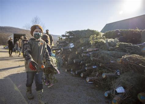 Guard members load holiday trees for military families | Article | The ...