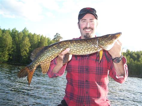 Image result for Angelkoder Schweden Hecht