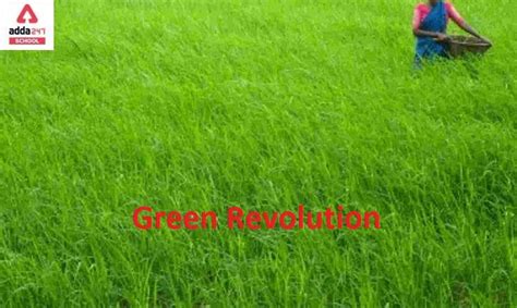 Perpetual Green Revolution in India- ग्रीन रिवॉल्यूशन