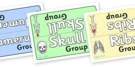 MRT Station Group and Table Signs (teacher made) - Twinkl