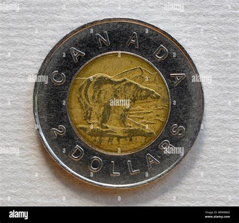 Canada Two Dollar Coin Stock Photo Alamy, 52% OFF