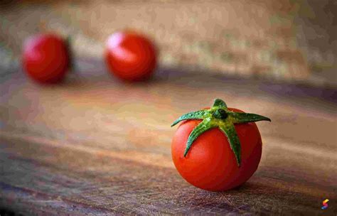 Define Tomato, Tomato Meaning, Tomato Examples, Tomato Synonyms, Tomato ...