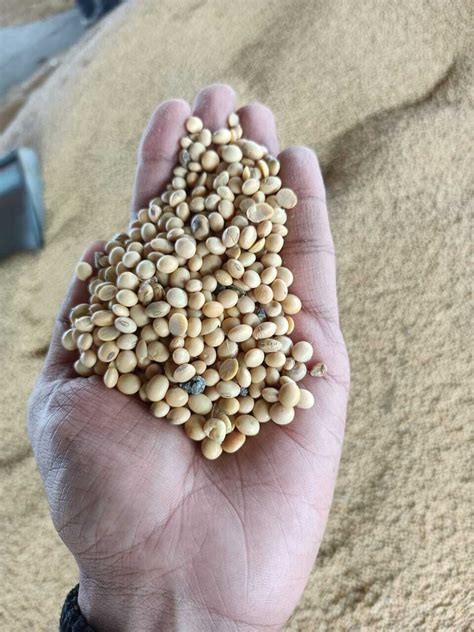 Nitya farms - Agro commodities