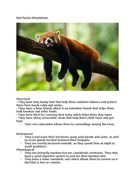 Throny devil - Biology Assessment 2- 30 Marks Thorny devil - Develop an ...