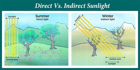 Direct Sunlight 的图像结果