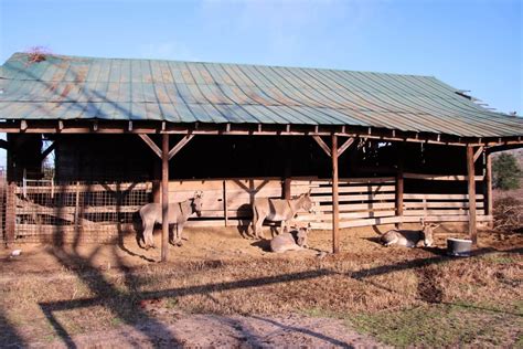 Sweetwater Lake Campground | St. Matthews, South Carolina