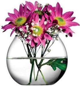 Essjay Botanic Flower Vase/ Flower Pot/ Fish Bowl, Transparent ...
