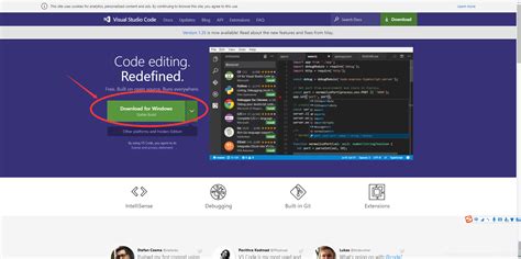 vs Code Downloader 的图像结果