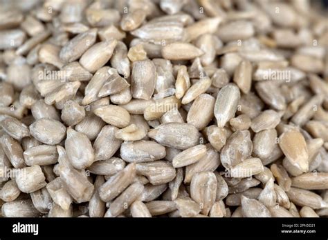 Image result for How Do They Shell Sunflower Seeds