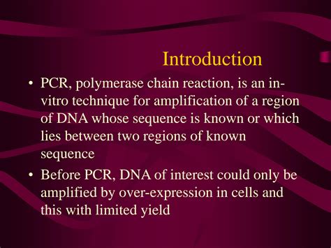PCR Lecture 的图像结果