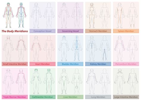 [DIAGRAM] Chinese Meridians Diagram - MYDIAGRAM.ONLINE