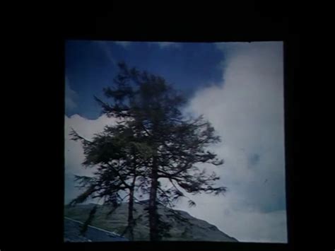 Image result for Monty Python Larch