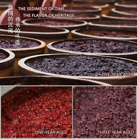 Premium Pixian Broad Bean Paste with Chilli Oil Chinese Doubanjiang ...