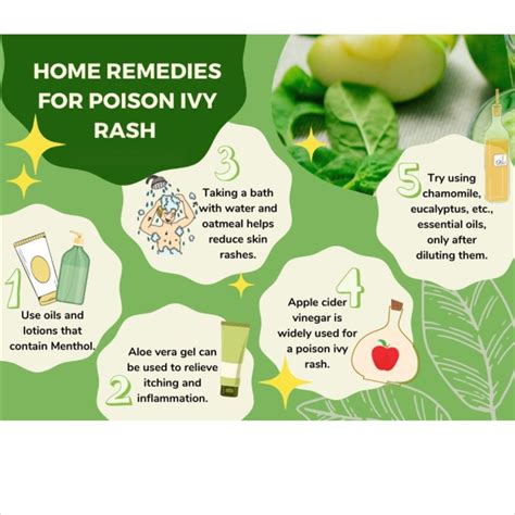 Nature's Itch Fix: Effective Remedies for Soothing Poison Ivy