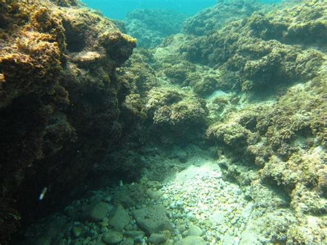 DIVE TEL AVIV (2026) All You Need to Know BEFORE You Go (with Photos ...