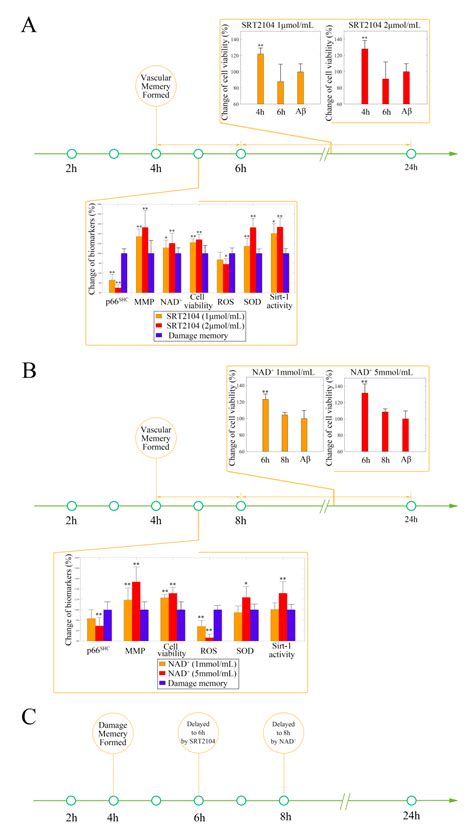 Aβ-Induced Damage Memory in hCMEC/D3 Cells Mediated by Sirtuin-1