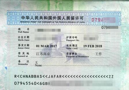 外国人签证、居留许可申请表Word模板下载_编号qkwpvzbg_熊猫办公