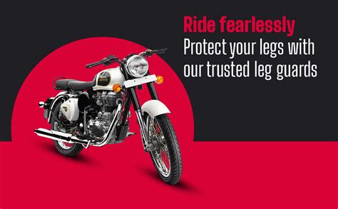 AllExtreme EX3RLGR Heavy Duty Metal Stainless Steel 3 Rod Leg Guard ...