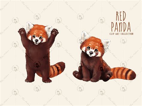 Cute Red Panda Clipart Bundle Red Panda PNG Clip Art Pack - Etsy UK