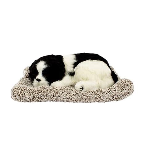 Sleeping Dog for Car Dashboard - Border Collie | Size: S – tynimo