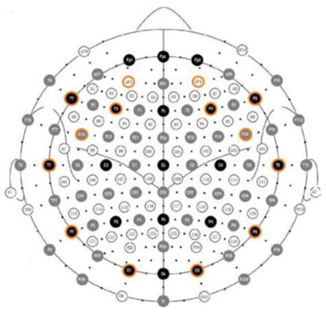 Brain Sciences | Special Issue : The Role of Sounds and Music in ...