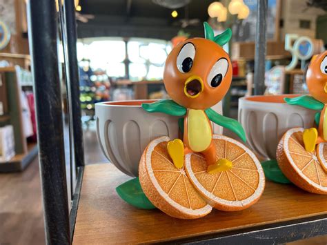 Orange Bird Disney