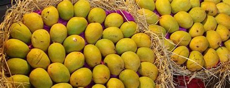 Origin Foods Limited