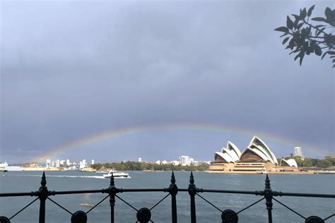 Had to take cover from the rain in one of those structures at Milsons Point Lookout. Looked up ...