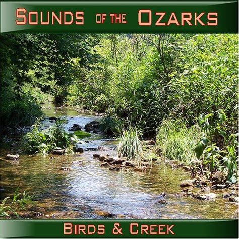 Sounds of the Ozarks - Birds & Creek: various types of birds + creek ...