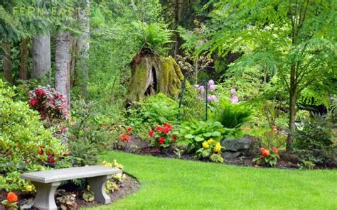 Image result for Using Ming Fern to Replicate Tree Trees