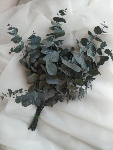 Eucalyptus/ Preserved Eucalyptus/ Preserved Flowers/eucalyptus Bouquet ...