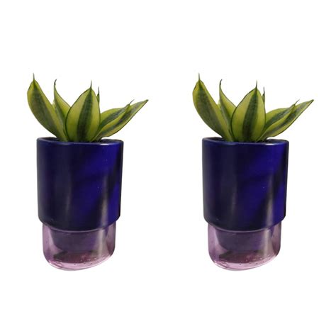 Elizabeth Handpainted Living Room Garden Decorative Flower Pots Cum ...