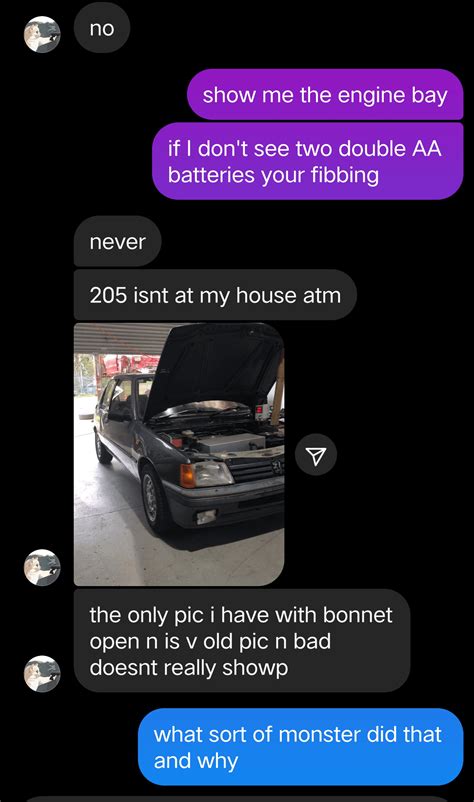 My friend owns an electric 205 I don't know if it's cool or disgusting ...