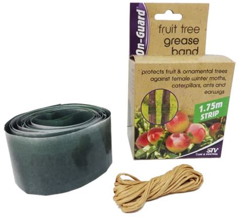 Fruit Tree Grease Bands Stingmon Trap Caterpillar Killer 2X Tree ...