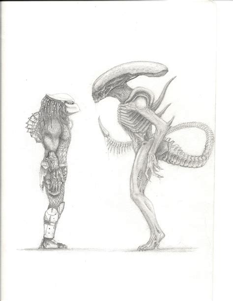 Image result for Alien vs Predator Draw