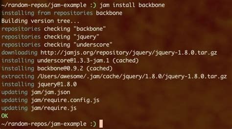 Image result for JavaScript Package