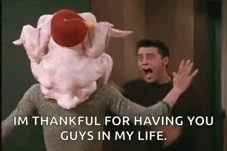 Friends Thanksgiving GIFs | GIFDB.com