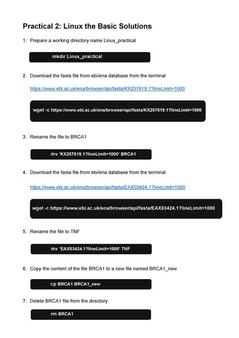 Linux Practice 的图像结果