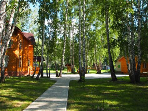 Лукоморье Новосибирск база отдыха: описание, где располагается ...