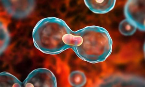 Residual cancer may hide behind clear scans, linked to worse outcomes ...