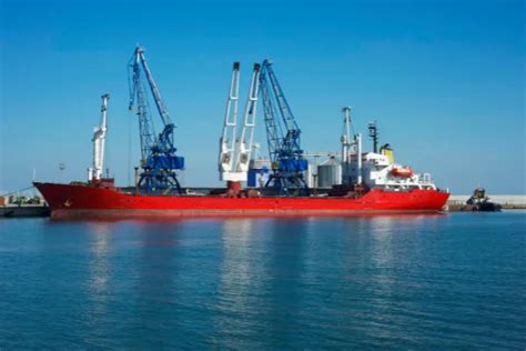 ¿Qué estudios necesitas para estibador? | Euroinnova