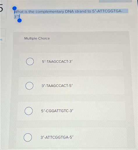 Image result for Complementary DNA Strand