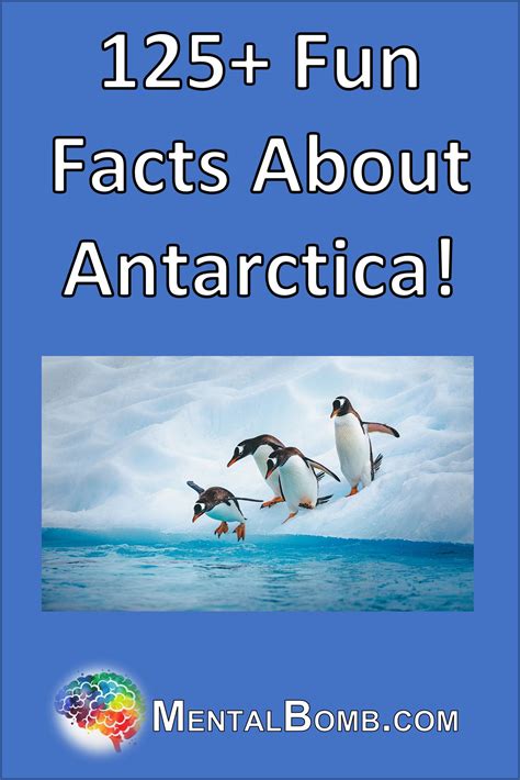 Fun facts about trains – Artofit