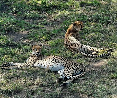 STALLIONS SAFARIS - All You Need to Know BEFORE You Go 2026 (with ...