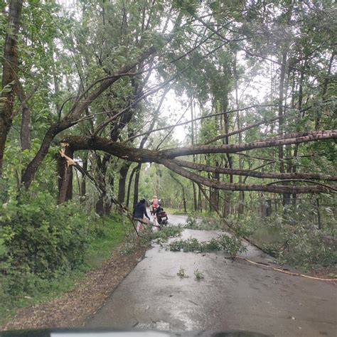 Heatwave across Globe and Windstorm in Kashmir