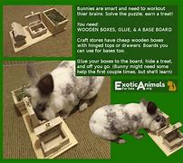 Image result for Funny Rabbit Toys